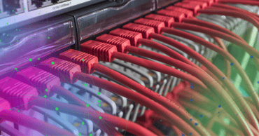  Connected cables of an IT server 